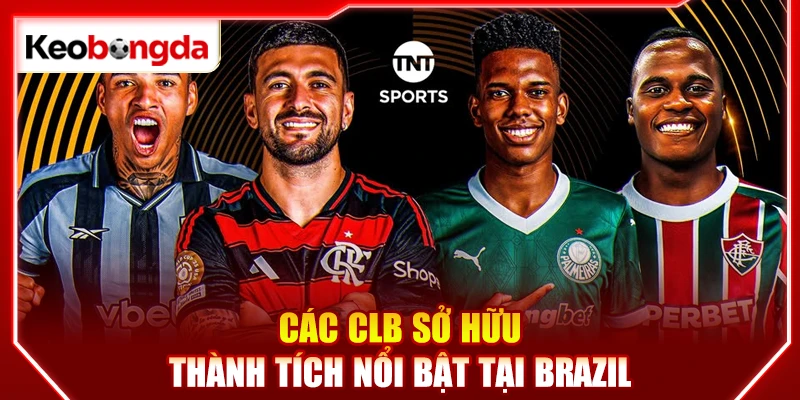 Các CLB sở hữu thành tích nổi bật tại Brazil