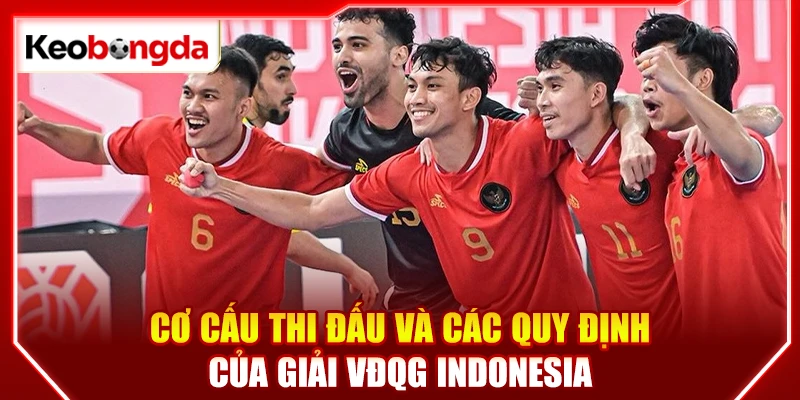 Cơ cấu thi đấu và các quy định của giải VĐQG Indonesia