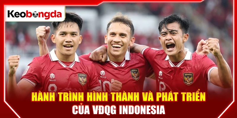 Hành trình hình thành và phát triển của VĐQG Indonesia